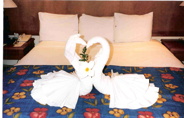 hotel swans